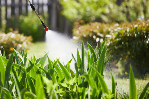 24/7 Emergency Mosquito Control experts in Rupert, ID